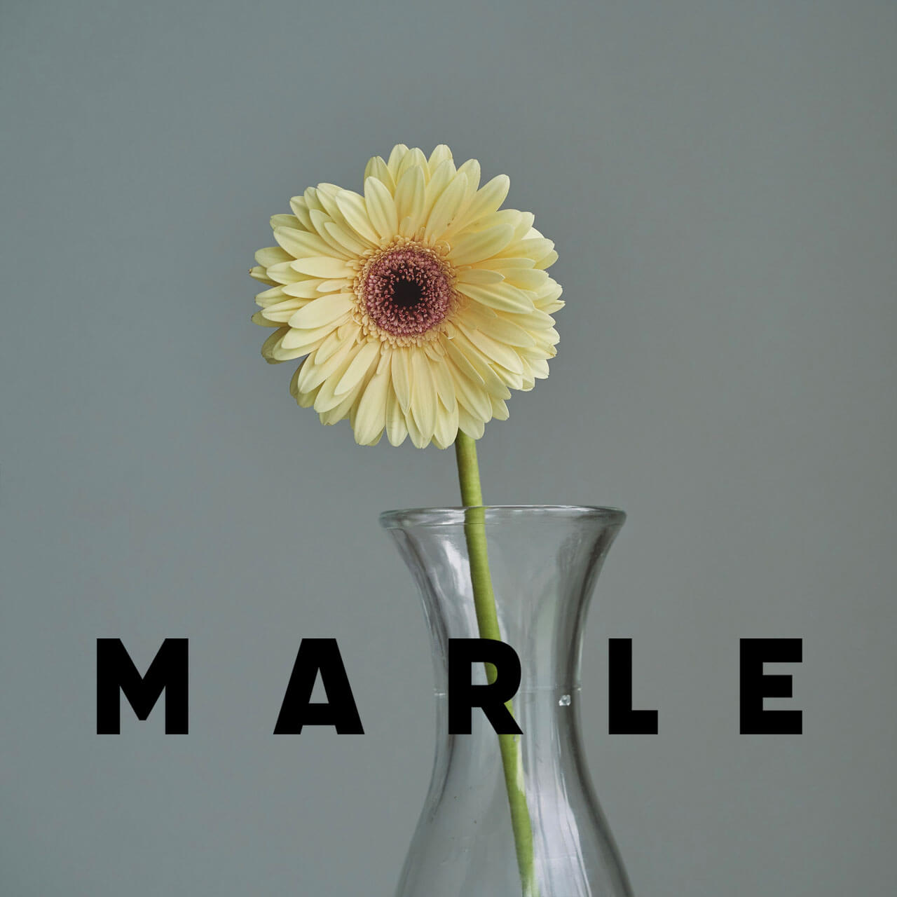 marle image4